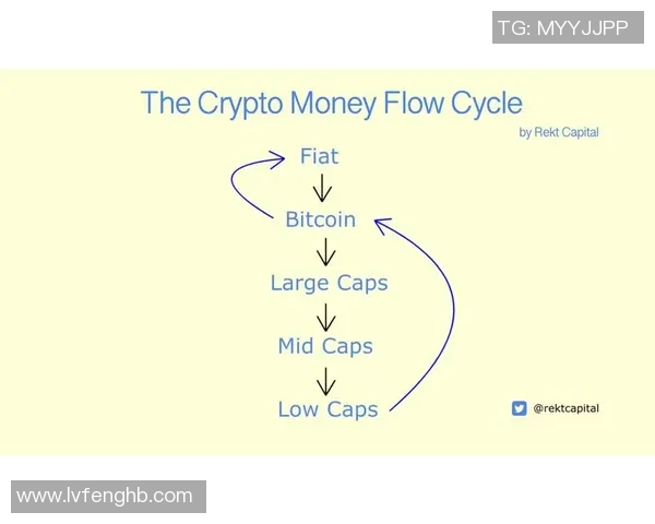 深圳滑板队速度表现分析及其对比赛成绩的影响研究